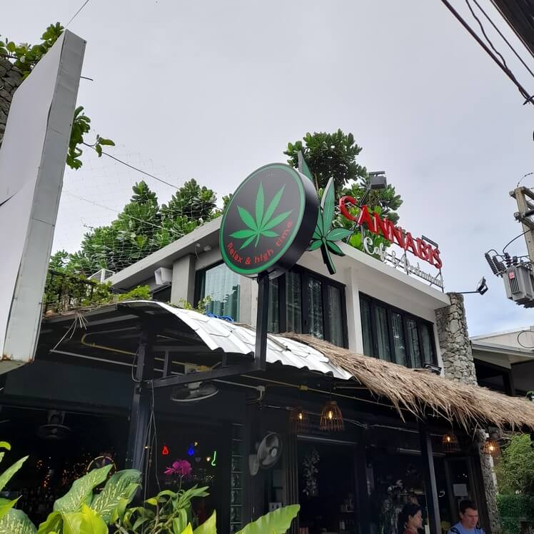 大麻咖啡馆和餐厅 # Raw-2