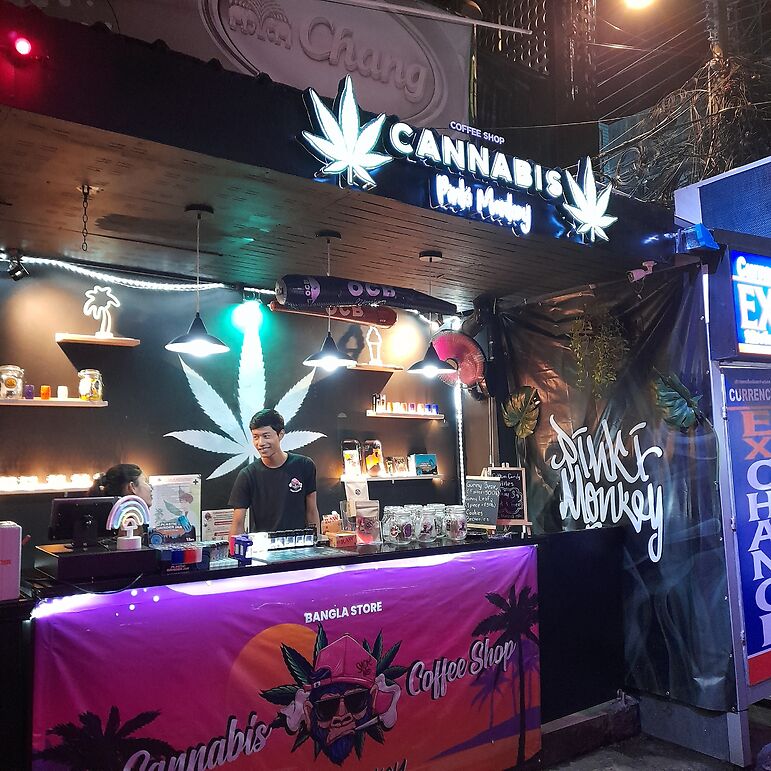 Pinki Singe Cannabis-4